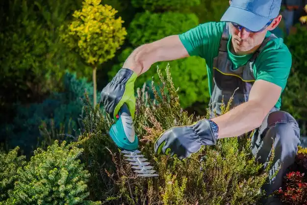 landscaping services Hermann